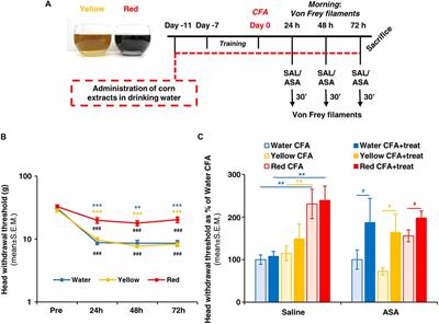 Purple Corn Extract as Anti-allodynic Treatment for Trigeminal Pain: Role of Microglia